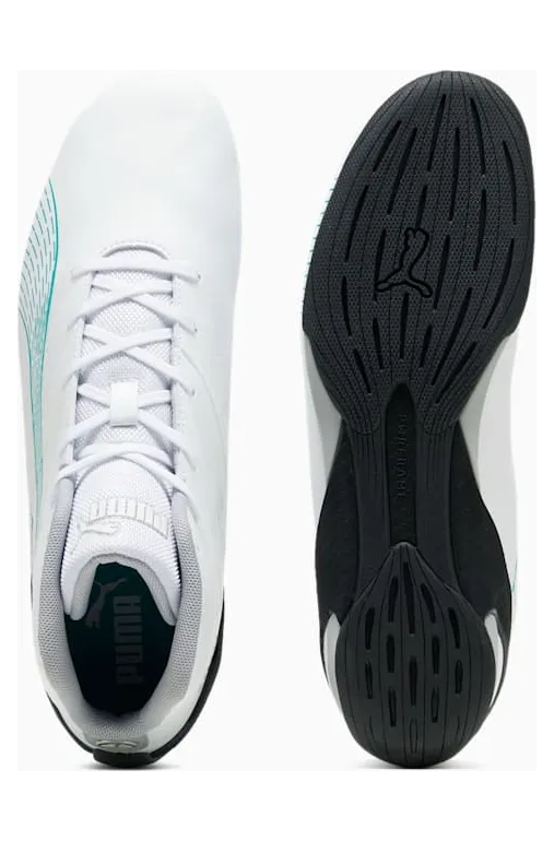 puma-carbon-cat 307544-03