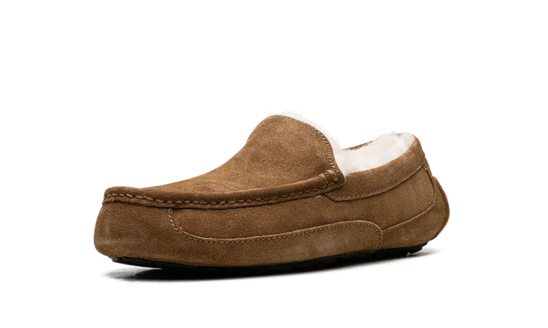 Ugg Australia Ascot Moccasin “Chestnut” (1101110-CHE)