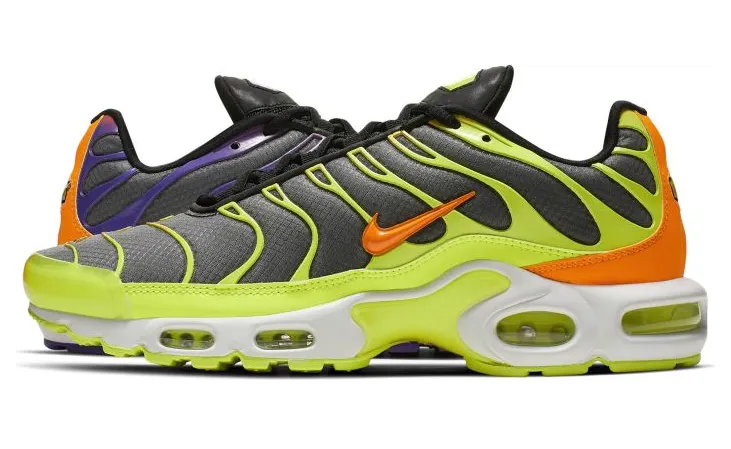 Nike Air Max Plus Color Flip – Black (CI5924-061)