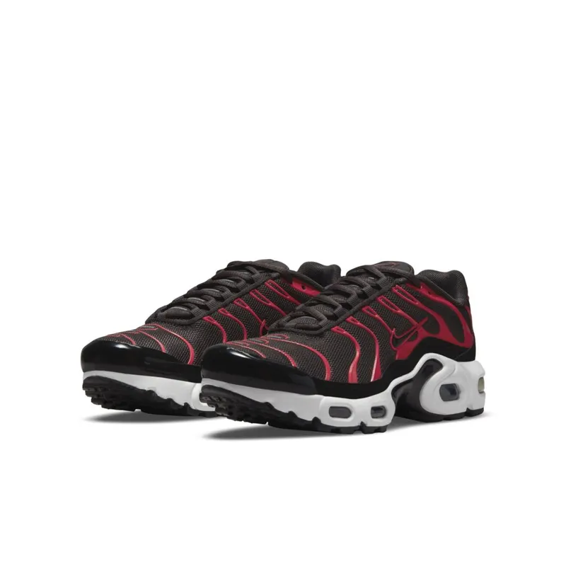 Nike Air Max Plus Bruin (CD0609-200)