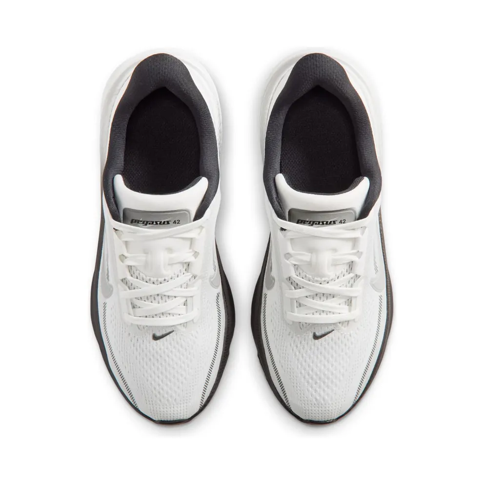 Nike Pegasus Summit White/Metallic Silver/Photon Dust/White (IR4146-100)