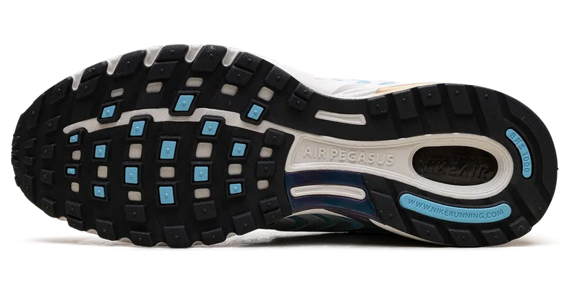 nike-air-pegasus HM4348-100