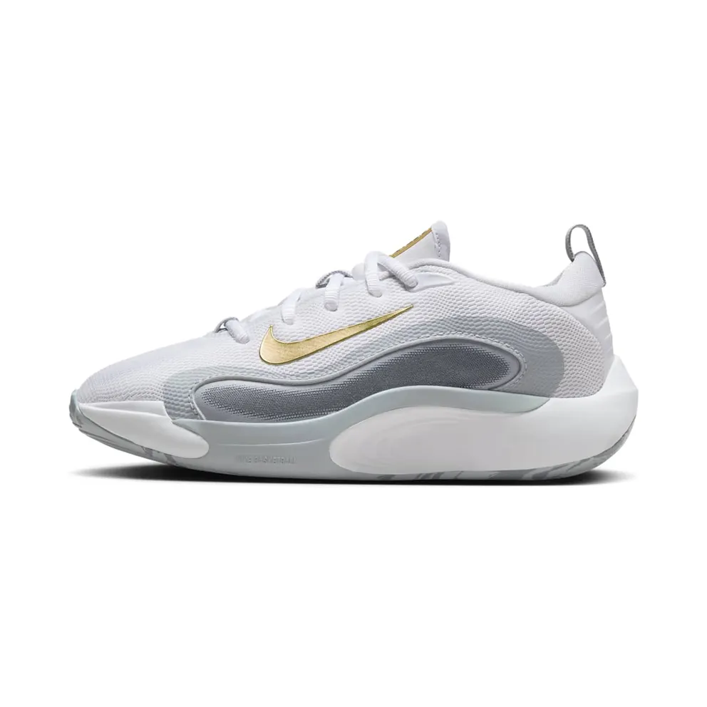 Nike IsoFly White Cool Grey Wolf Grey Metallic Gold Star (FN4384-100)