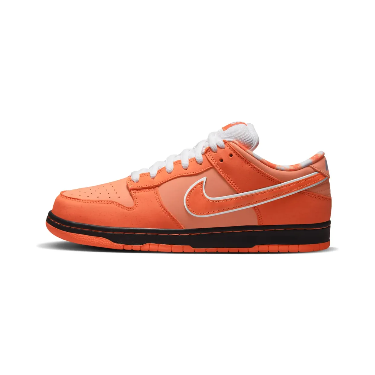 nike-dunk-sb FD8776-800