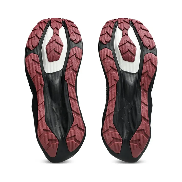 asics-novablast 1011C256800