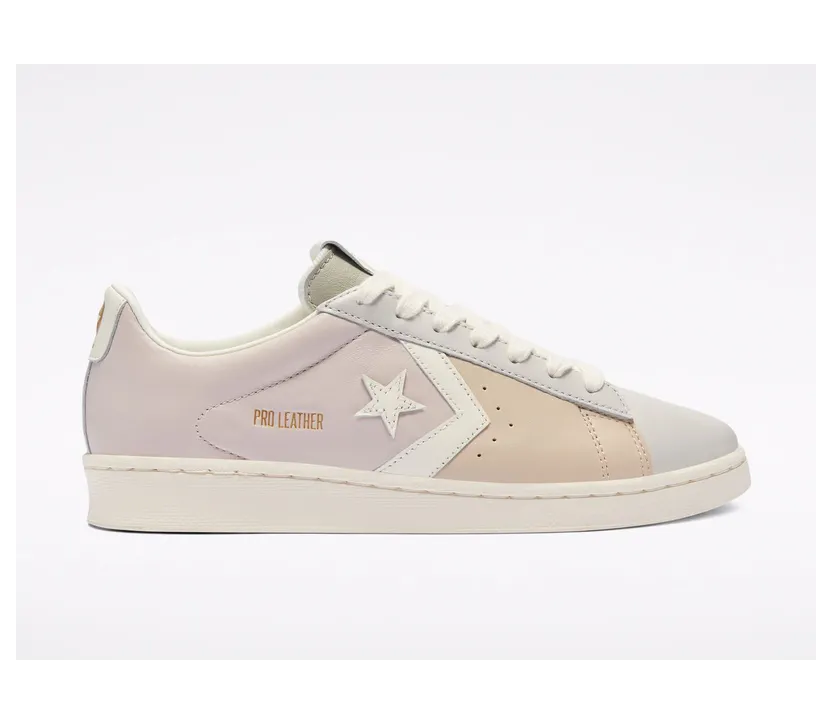 converse-pro-leather 169704C