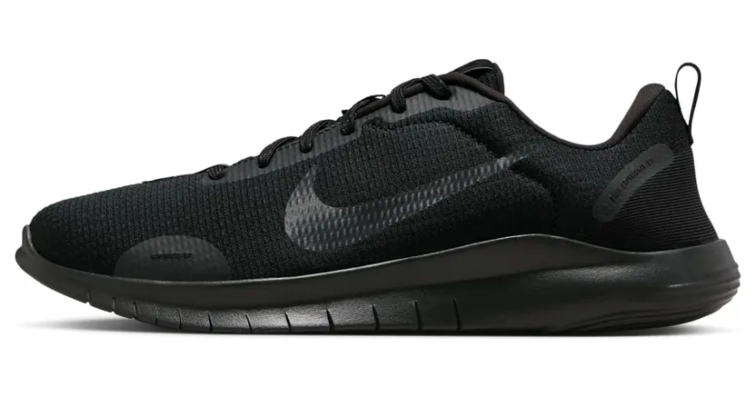 Nike Flex Experience Run 12 Black Anthracite (DV0740-003)