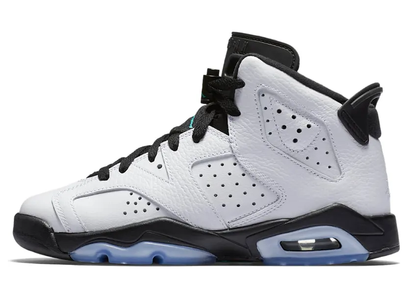 Air Jordan 6 Retro BG White (384665-122)