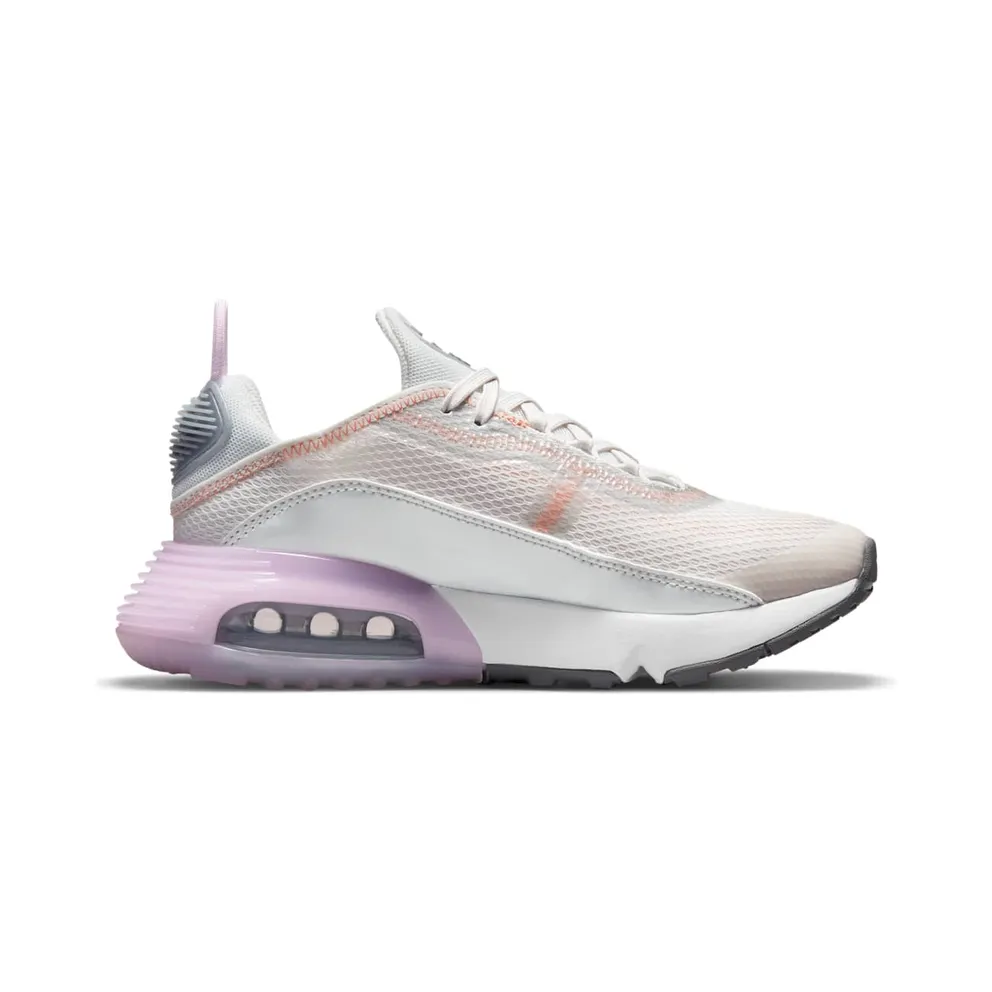 Nike Air Max 2090 Grey (CJ4066-014)