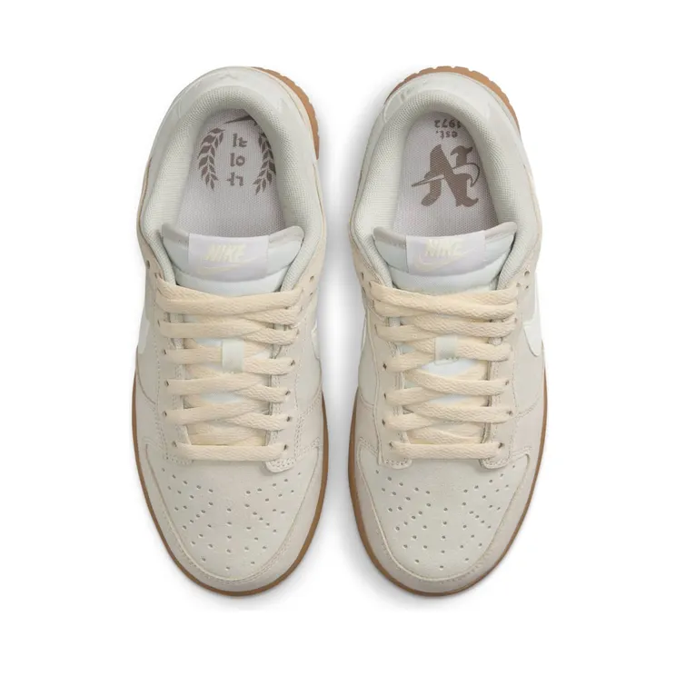 nike-dunk FQ8147-104