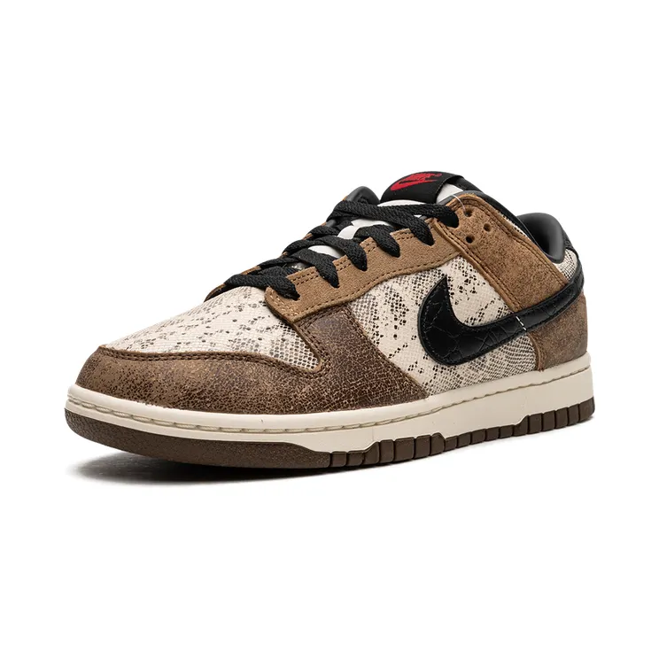 nike-dunk FJ5434-120