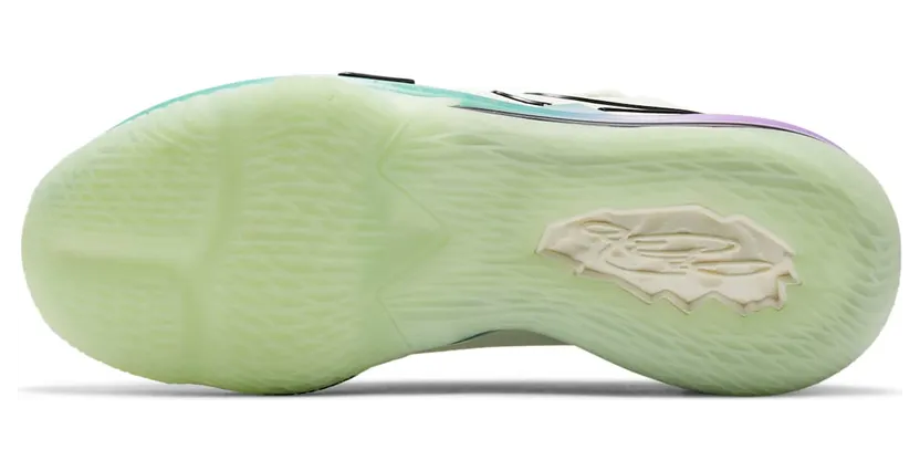 nike-lebron-17 CD5007-005