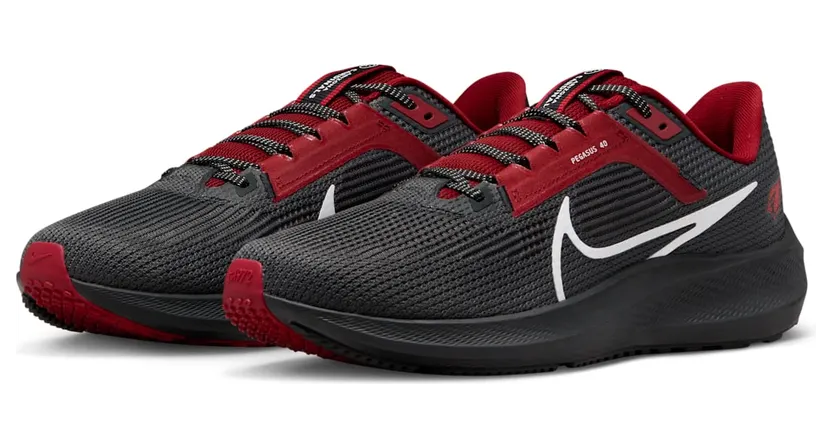 nike-air-pegasus DZ5994-001
