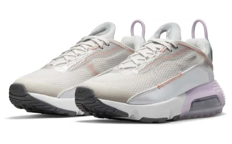 Nike Air Max 2090 Grau (CJ4066-014)