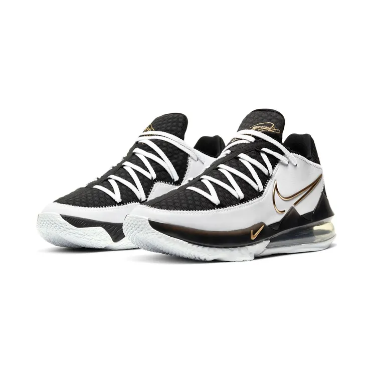 nike-lebron CD5006-101
