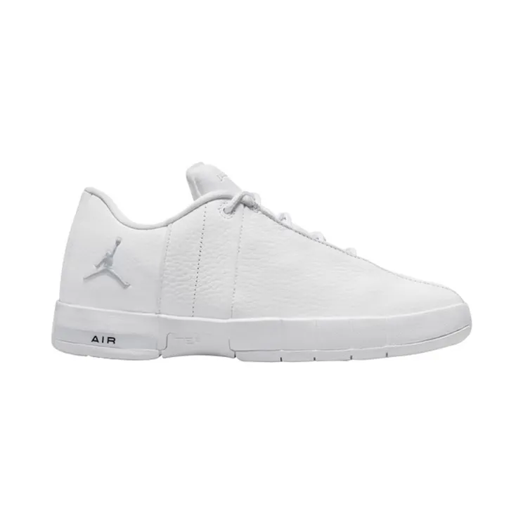 Jordan Team Elite 2 Low White Pure Platinum (AO1732-111)