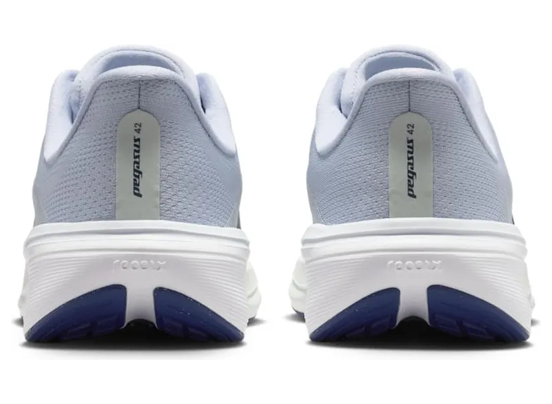 nike-air-pegasus IH2306-004