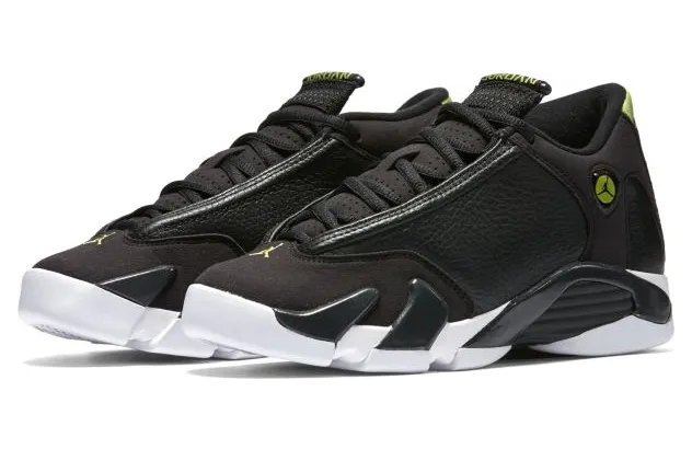 air-jordan-14 487524-005