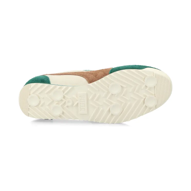 puma-arizona 399664-02