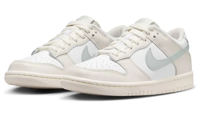nike-dunk FB9109-109