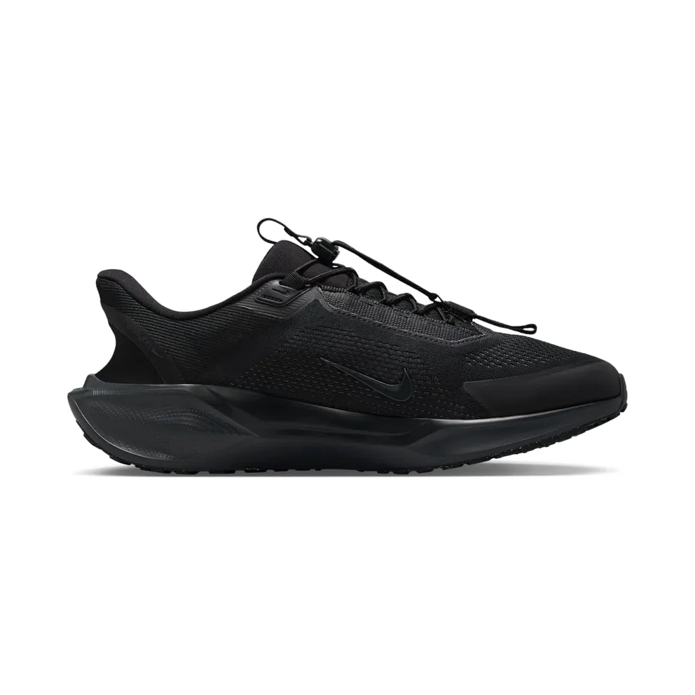 Nike Air Zoom Pegasus 41 EasyOn Black Anthracite (FQ7837-001)