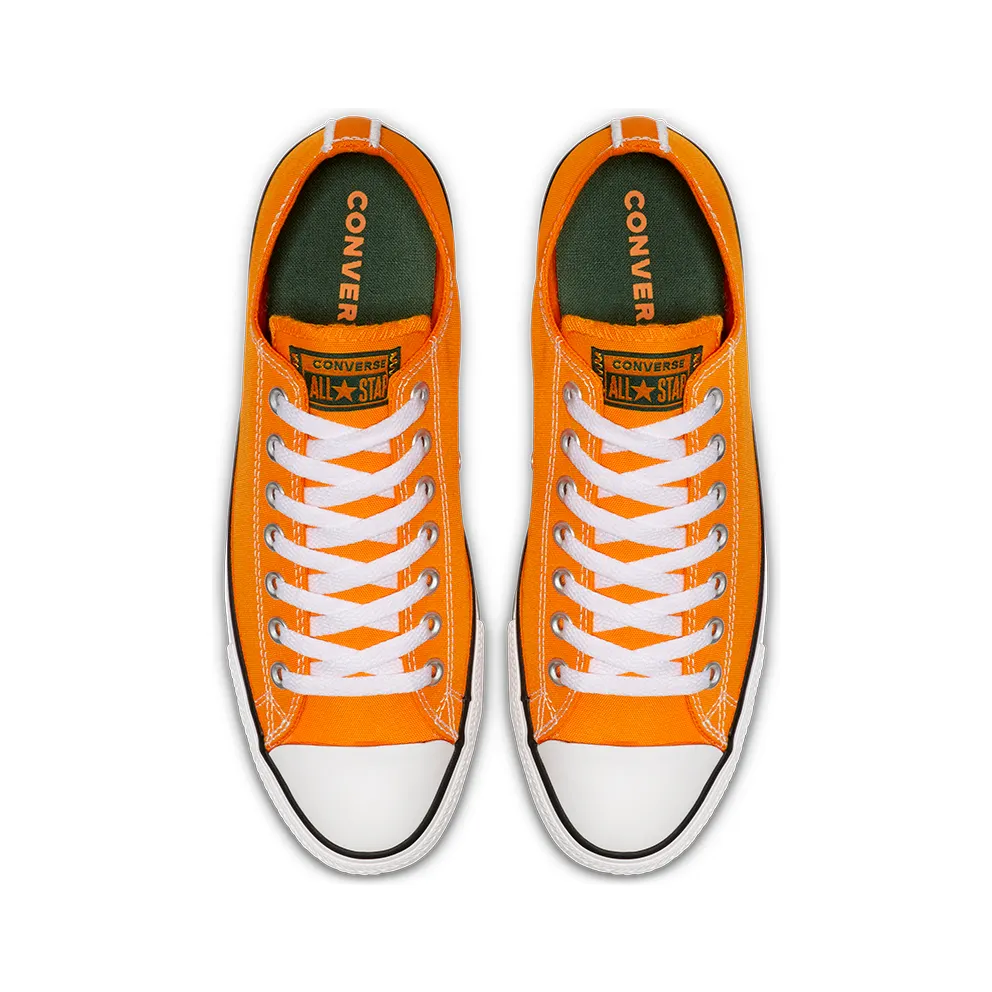 Converse Chuck Taylor All Star Summer Sport Low Top (164413C)