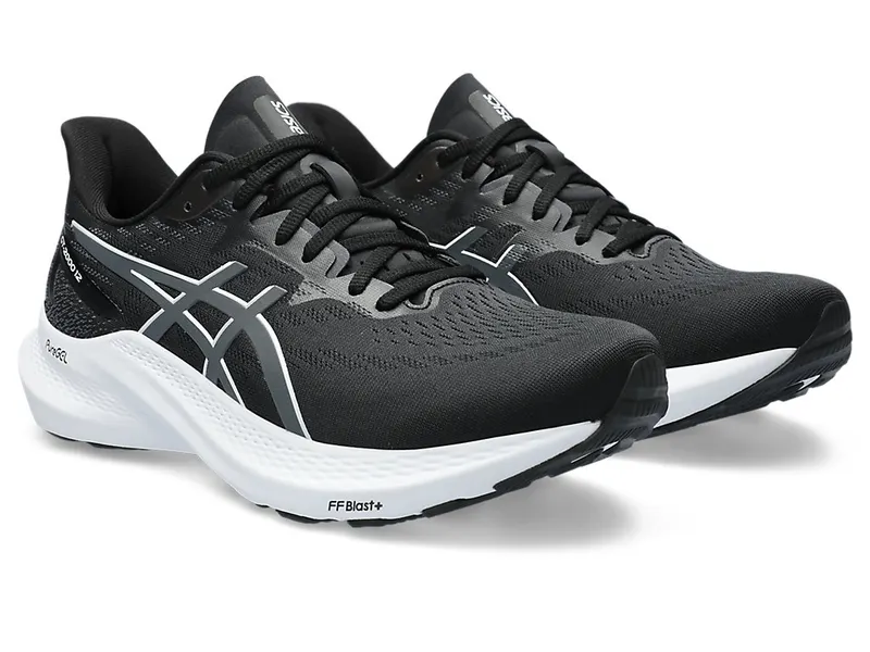 Asics Gt-2000 12 Black/Carrier Grey (1011B691.002)