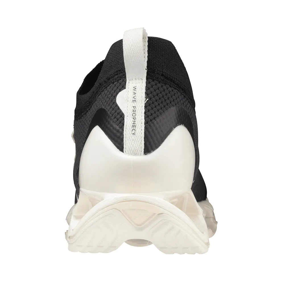Mizuno Wave Prophecy Beta (D1GA220202)