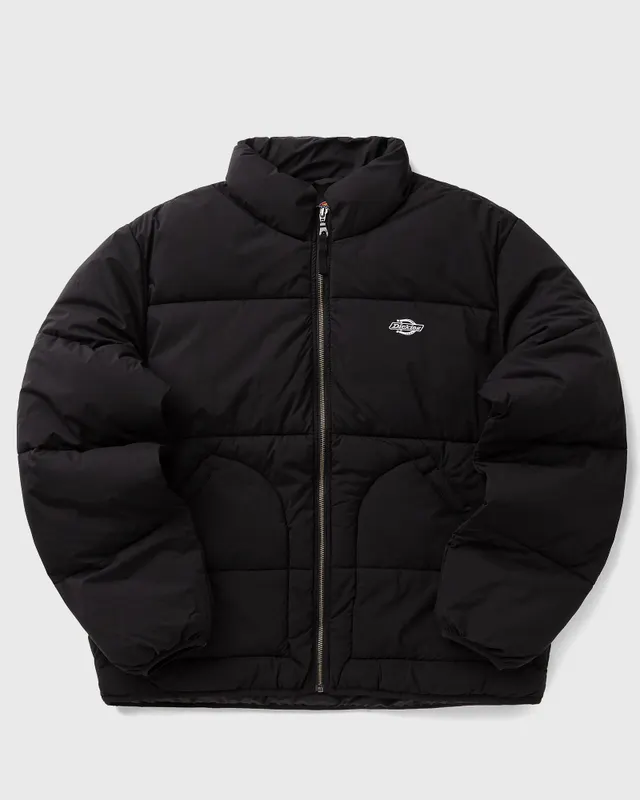 Dickies sneaker black (DK0A87OGBLK1)