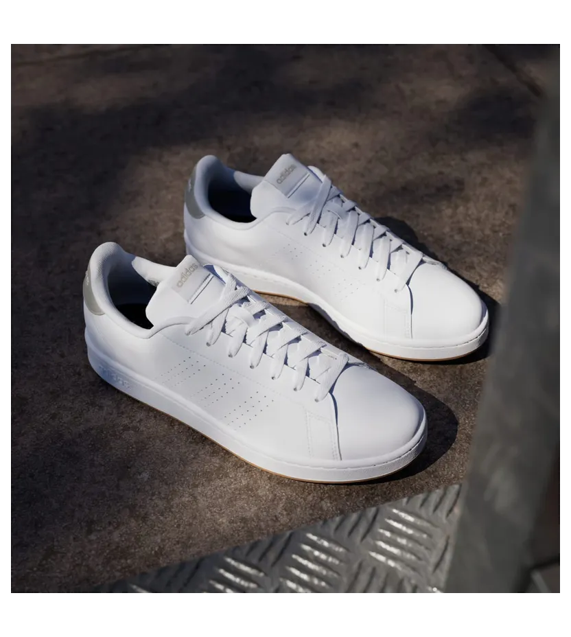 adidas-advantage GZ5303