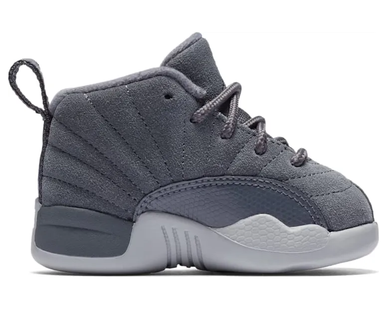 air-jordan-12 850000-005