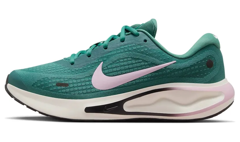 Nike Journey Run Bicoastal Black Sail Pink Foam (FJ7765-301)