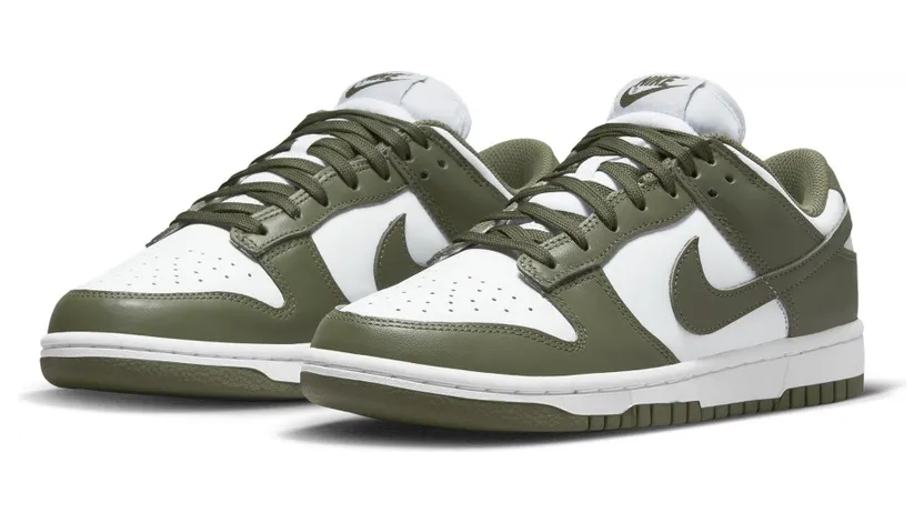 nike-dunk DD1503-120