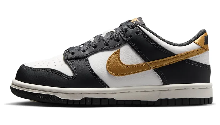 Nike Dunk Low HV2533-100