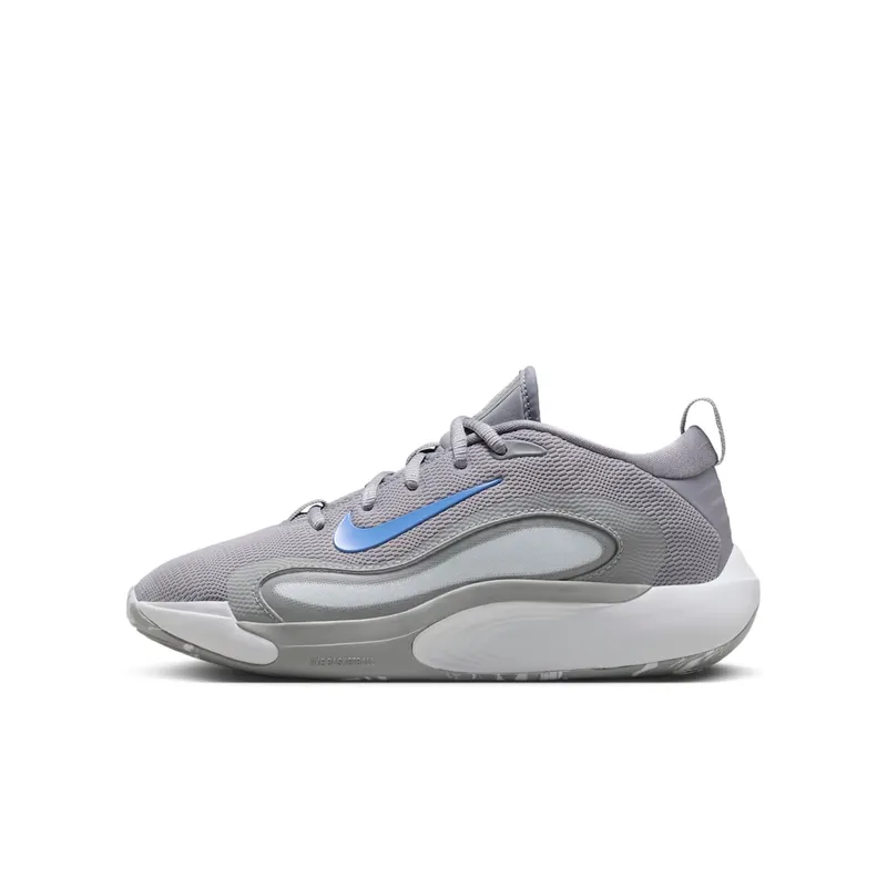 Nike IsoFly Cement Grey Light Smoke Grey Pure Platinum Royal Pulse (FN4384-002)