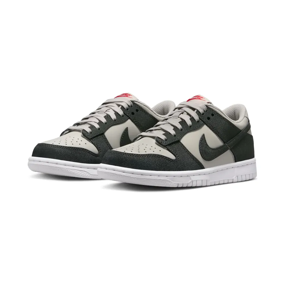 Nike Dunk Low GS “Anthracite” (FZ1000-001)