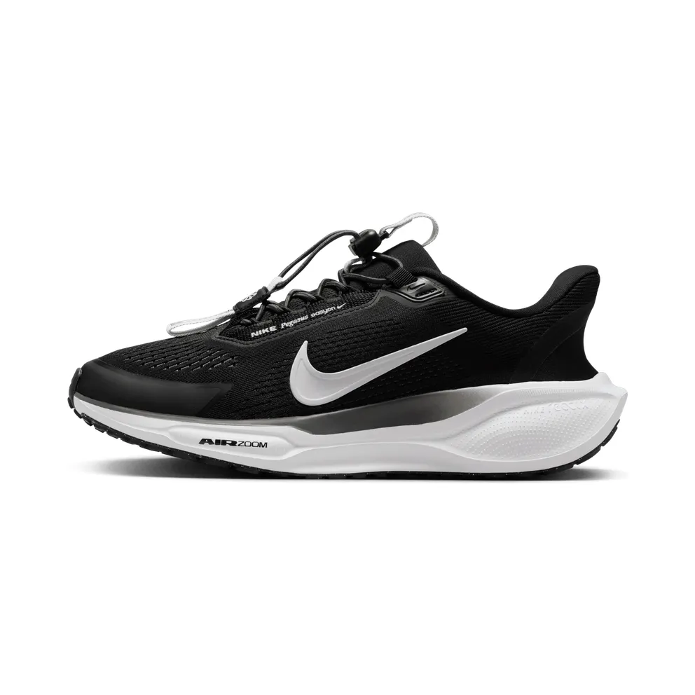 Nike Air Zoom Pegasus 41 EasyOn Black Anthracite Photon Dust White (FQ7844-002)