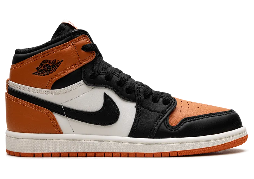 air-jordan-1 FD1412-008