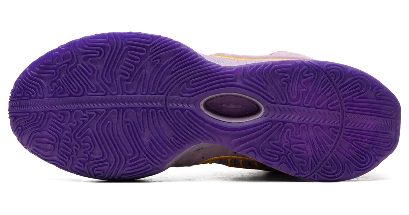 nike-lebron FV2345-500