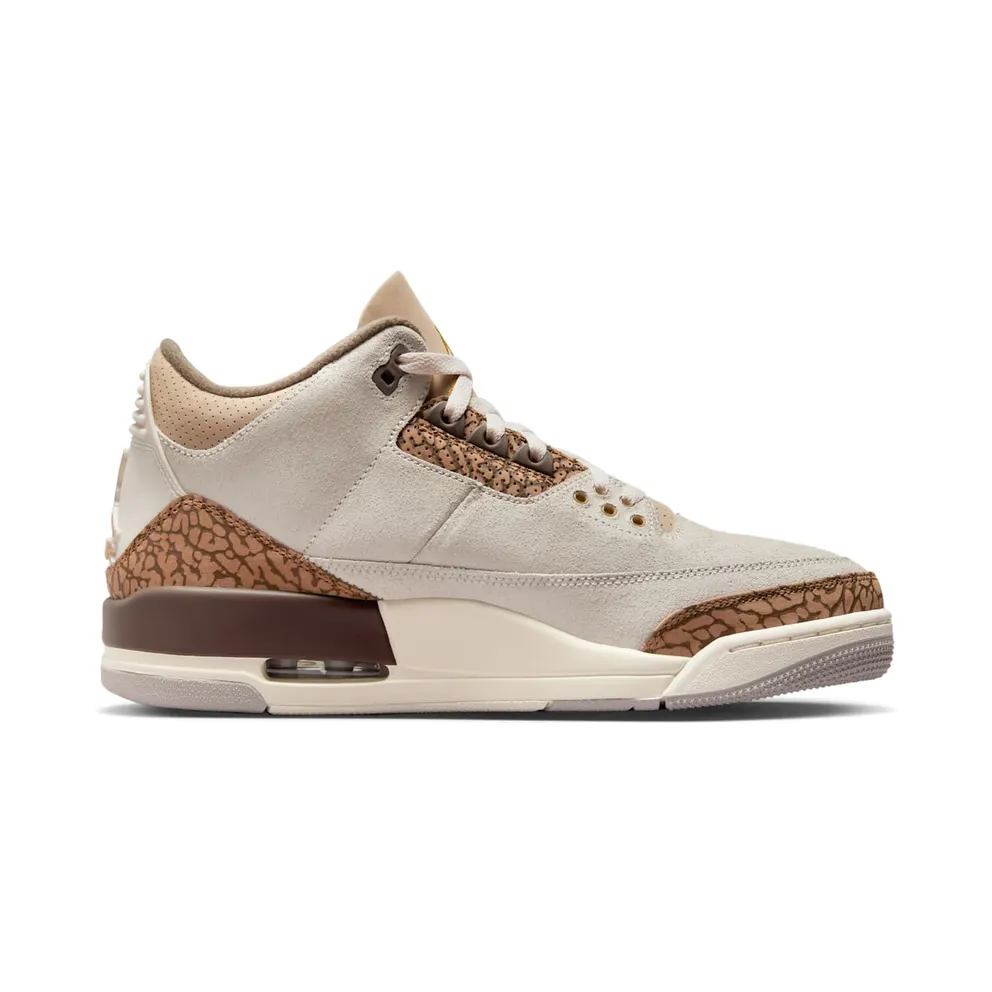 Air Jordan 3 “Palomino” (CT8532-102)