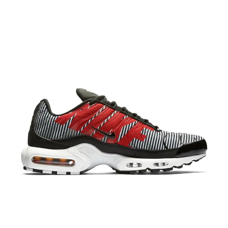 Nike Air Max Plus Striped Black White Black/White-Pure Platinum (AT0040-001)