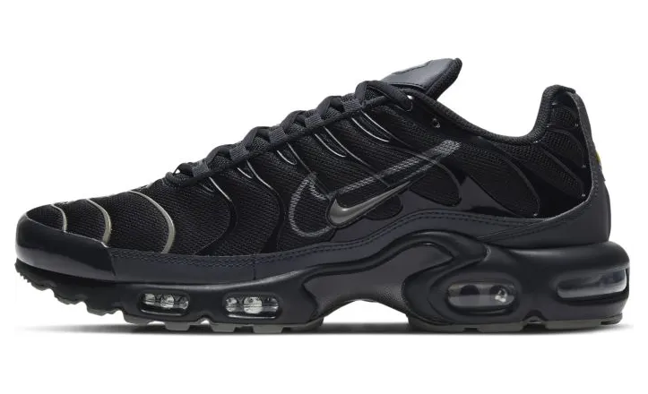 Nike Air Max Plus Zwart (DH4100-001)