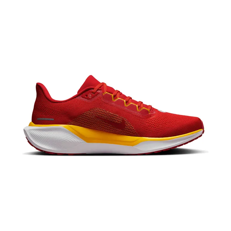 nike-air-zoom FZ5079-600