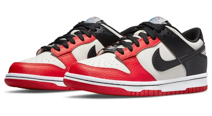 nike-dunk DO6288-100
