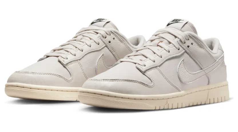 nike-dunk DZ2538-100