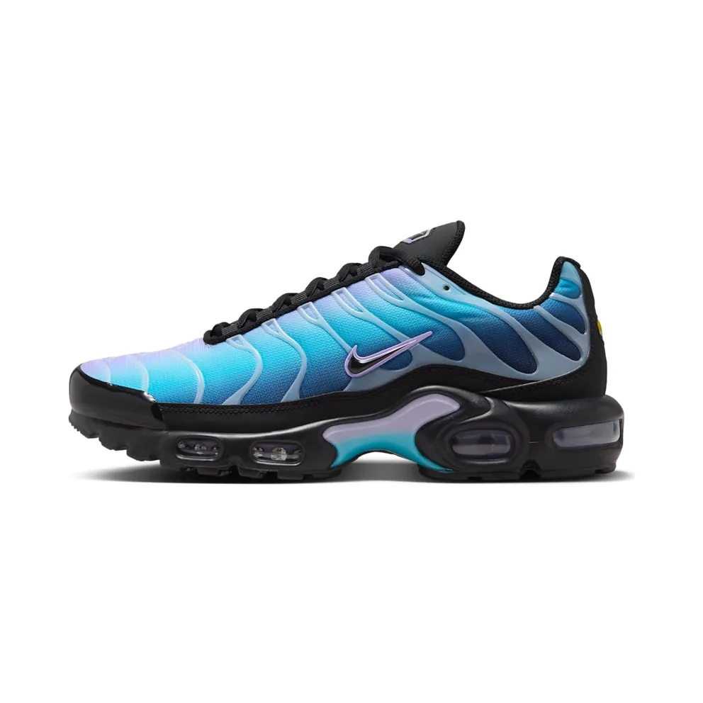 Nike Air Max Plus Black Hydrangeas (HV2510-001)