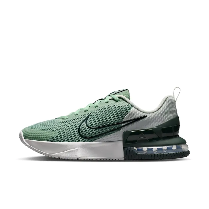 Nike Alpha Trainer Steam/Spruce Aura/Off White/Black Spruce (FQ1833-015)