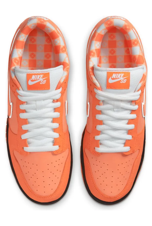 nike-dunk-sb FD8776-800