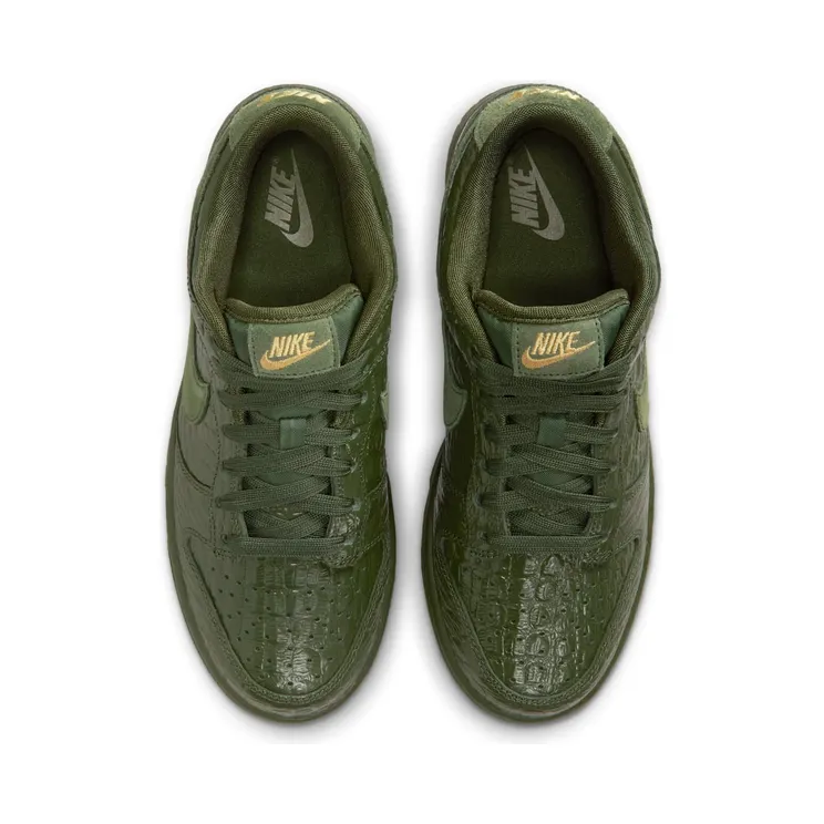 nike-dunk HV4388-300