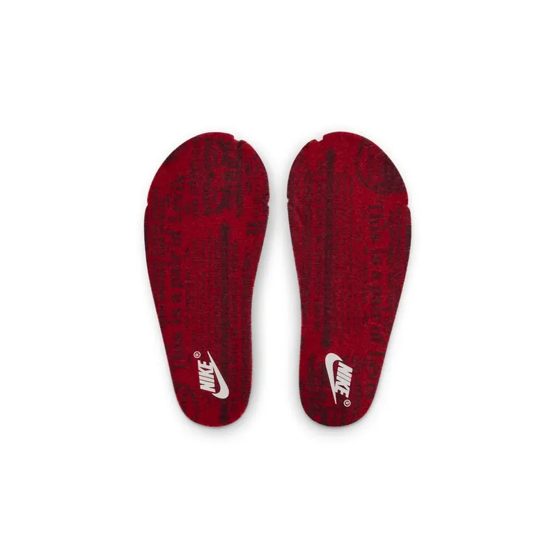 Air Jordan 3 Indigo And Gym Red (IQ8059-400)